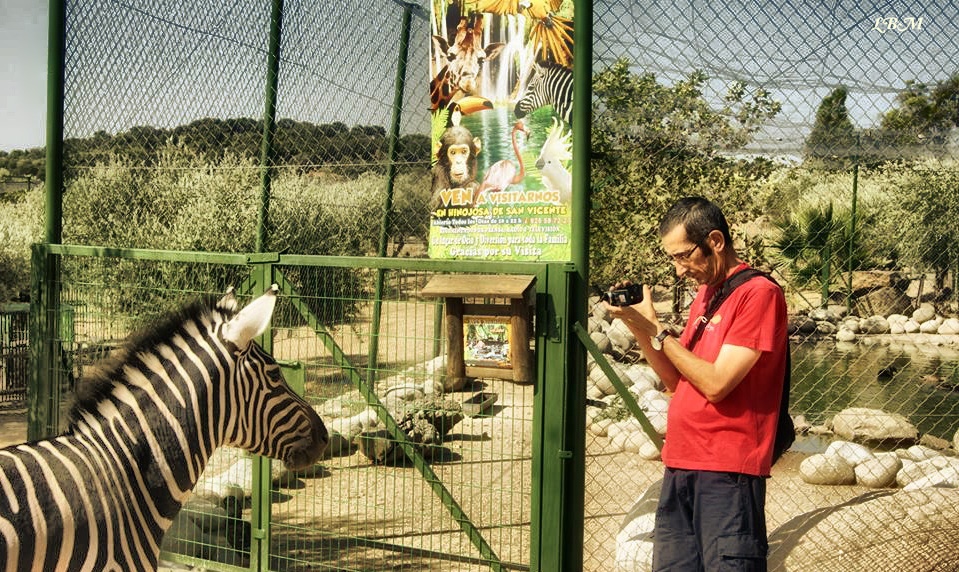 "Mirando al objetivo" de Luis Blasco Martin