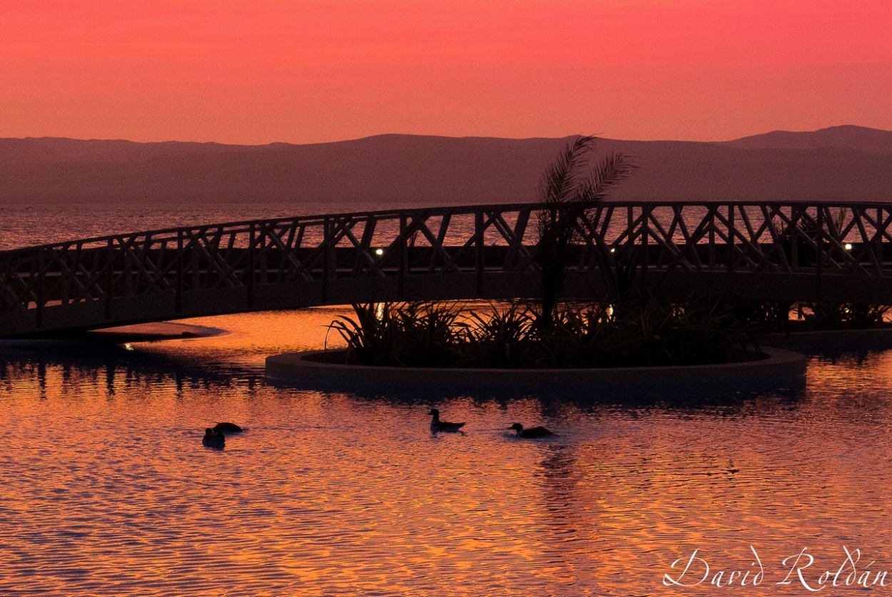 "Rincones del Per #046 Paracas" de David Roldn