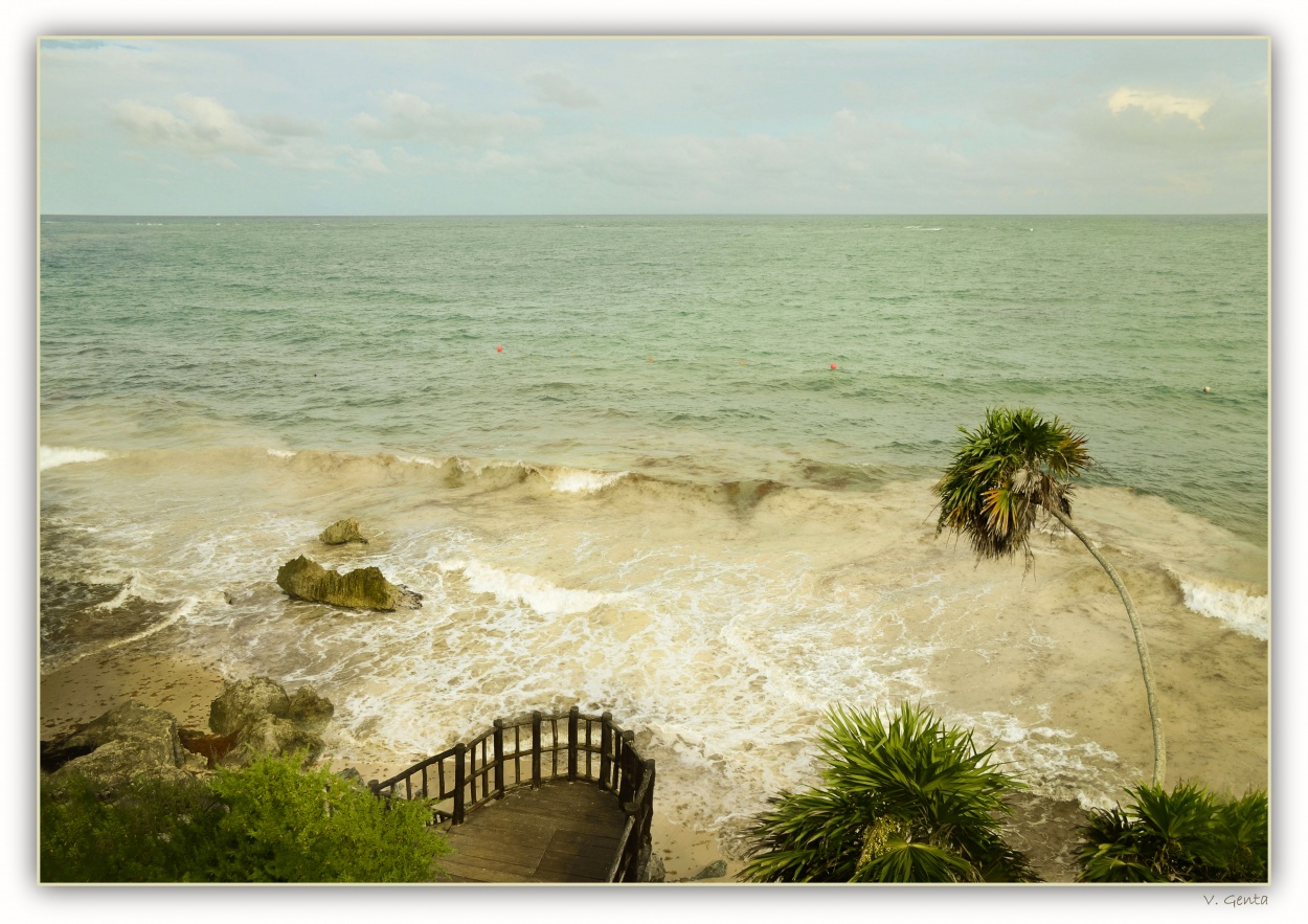 "Tulum" de Viviana Genta