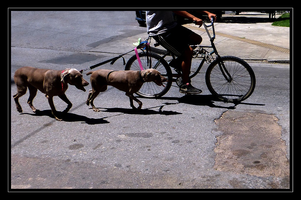 "Los Llevo A Pasear" de Mascarenhas Cmara. Juan de Brito