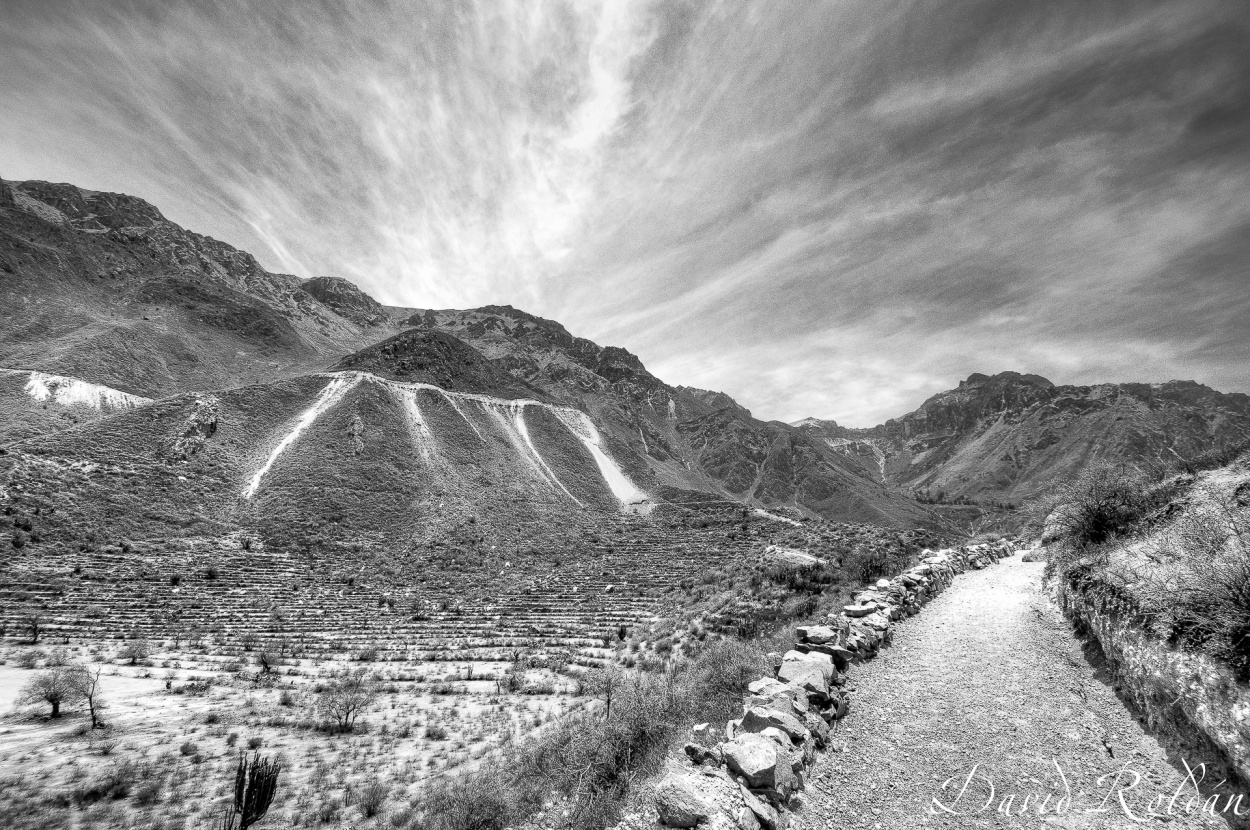 "Rincones del Per #210 Can del Colca" de David Roldn