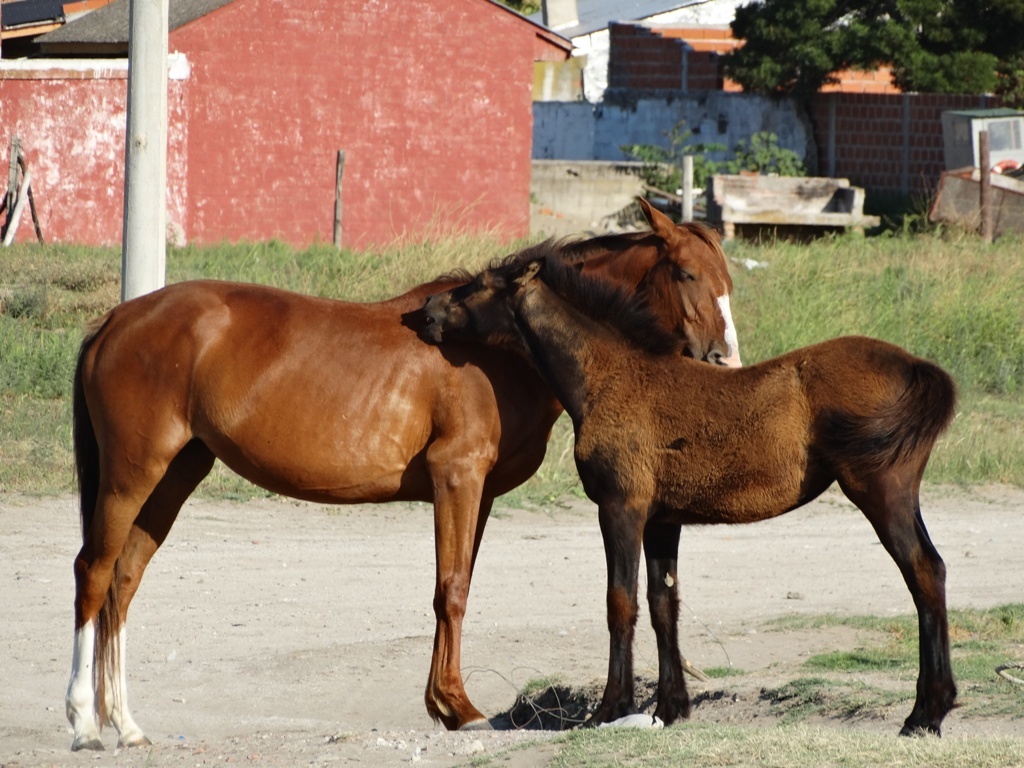 "Proteccion" de Eduardo Garcia Valsi