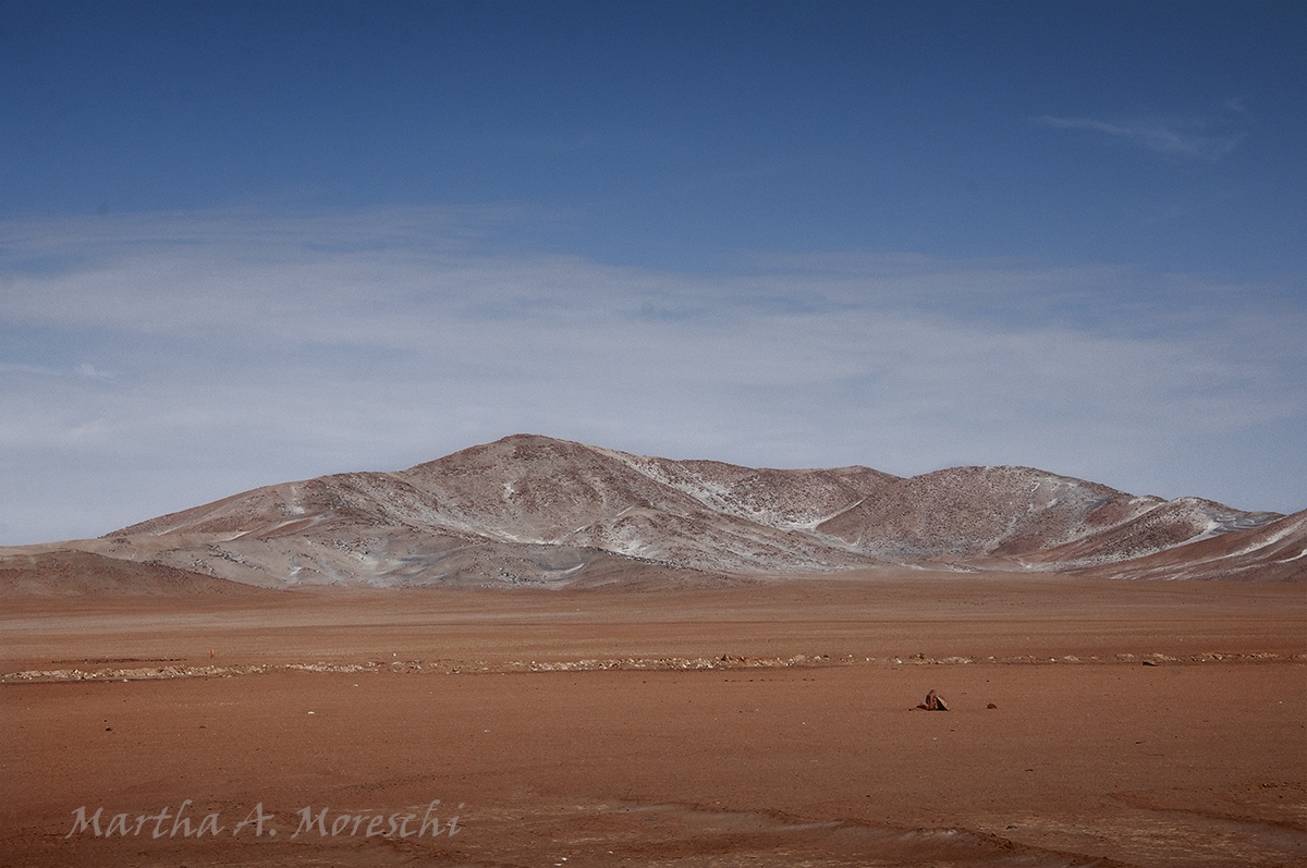 "Desolado" de Martha A. Moreschi