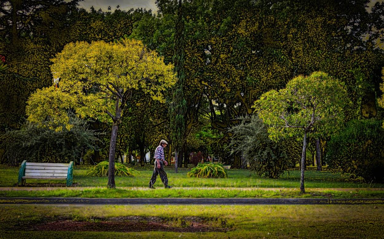 "Solitario el hombre" de Fernando Valdez Vazquez