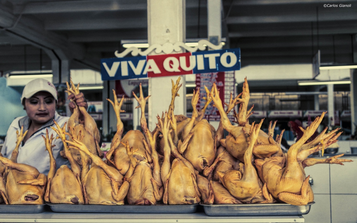 "Viva Quito." de Carlos Gianoli