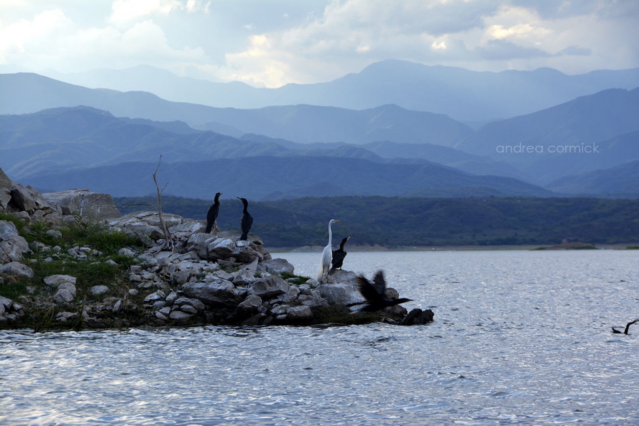 "atardecer en el lago" de Andrea Cormick