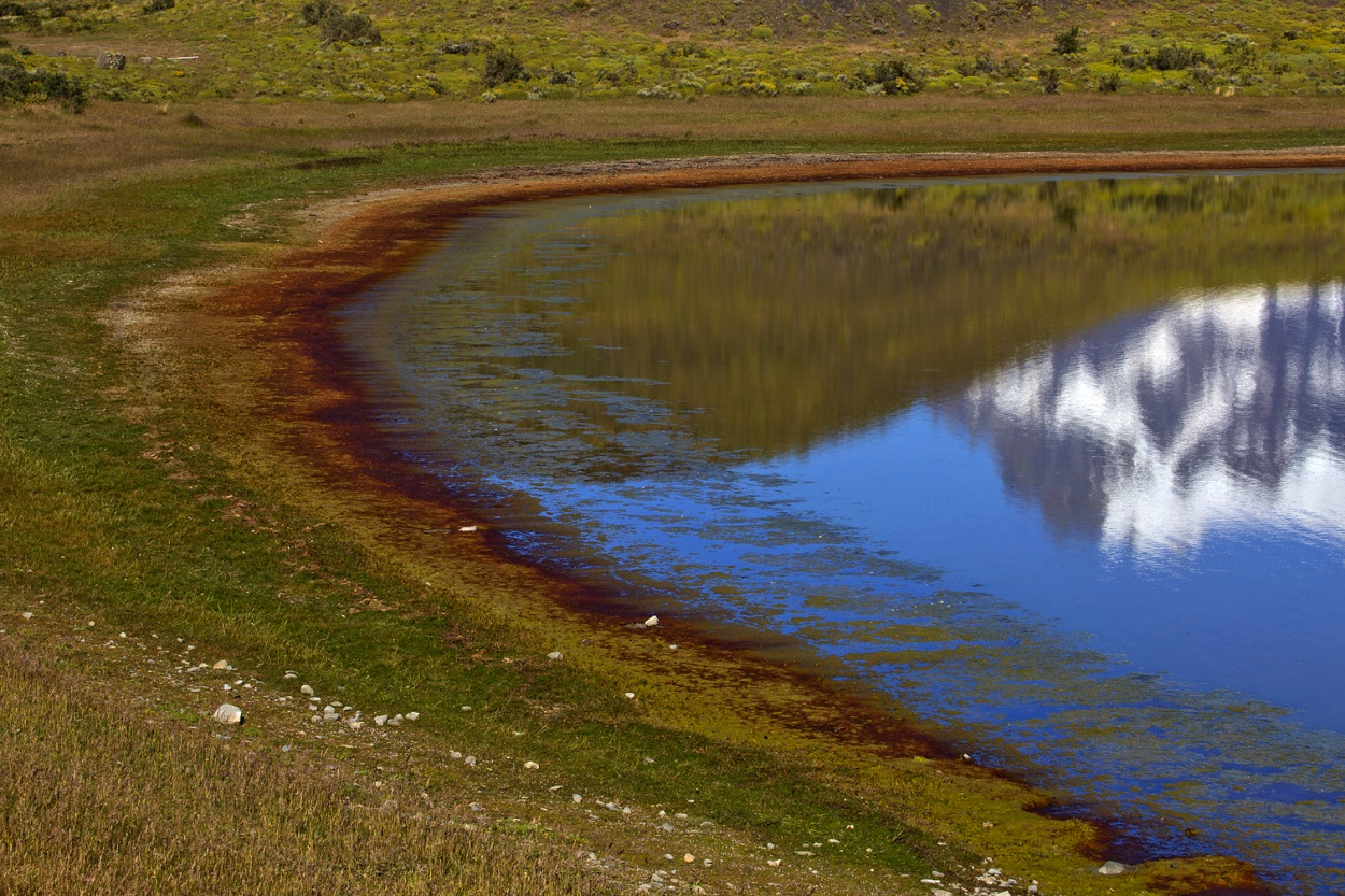 "Lago de los cisnes - Parque Torres del Paine" de Gustavo Acosta