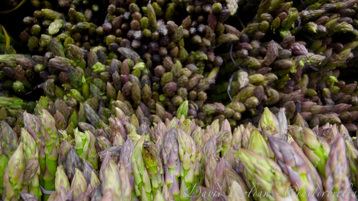 "Peruvian asparagus" de David Roldn