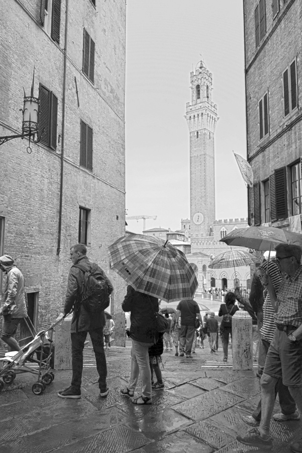 "lluvia de verano" de Liliana Guerrero