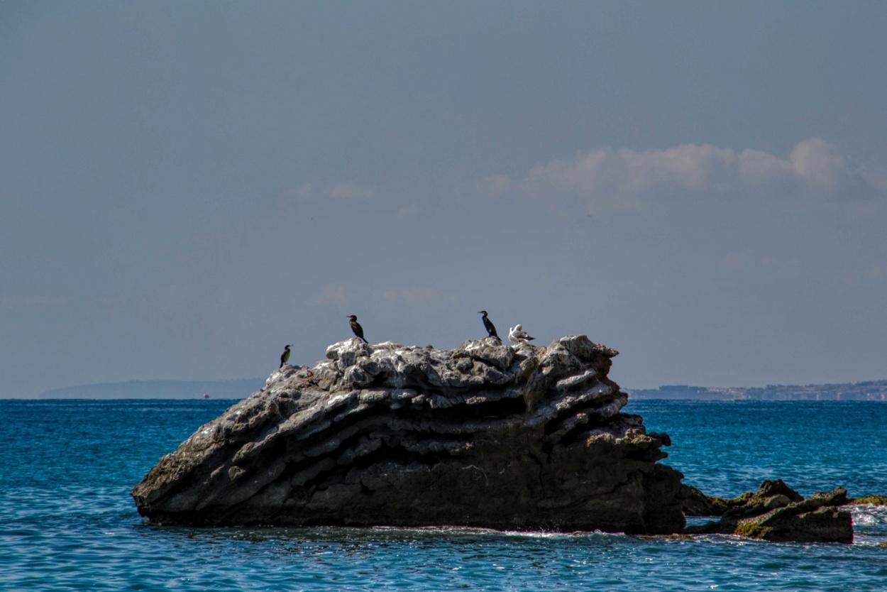 "** ATENTOS en LA MAR **" de Antonio Snchez Gamas (cuky A. S. G. )