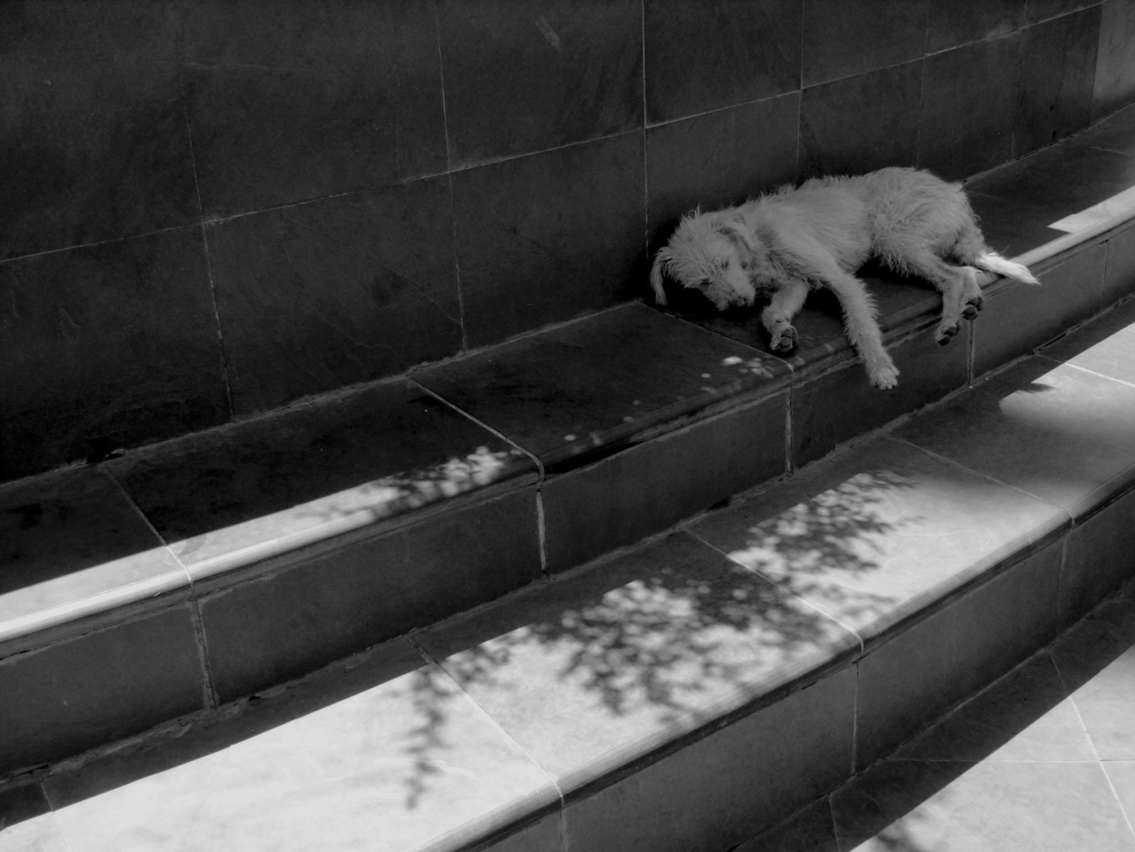 "Siesta religiosa de un guardin santiaguino." de Vernica Villot