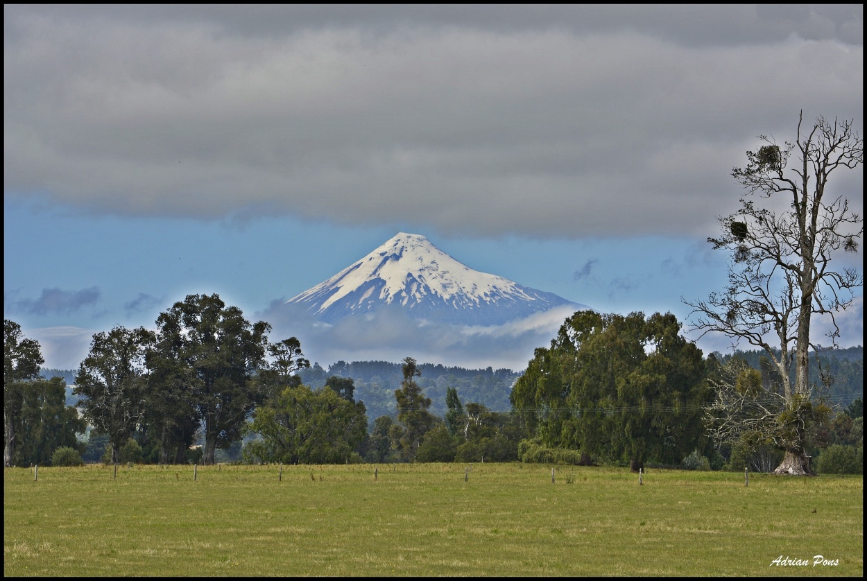 "El Osorno" de Adrian Pons