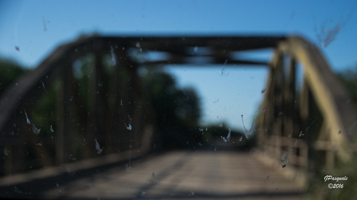 "Puente" de Guillermo Daniel Pasquale