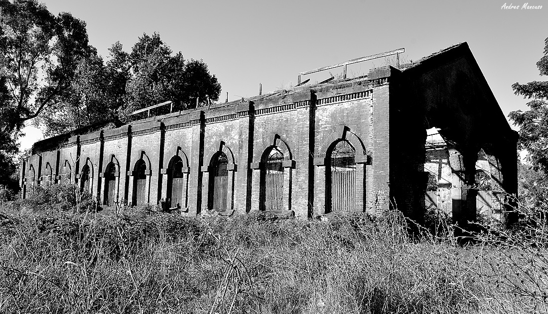 "Abandono" de Andres Mancuso