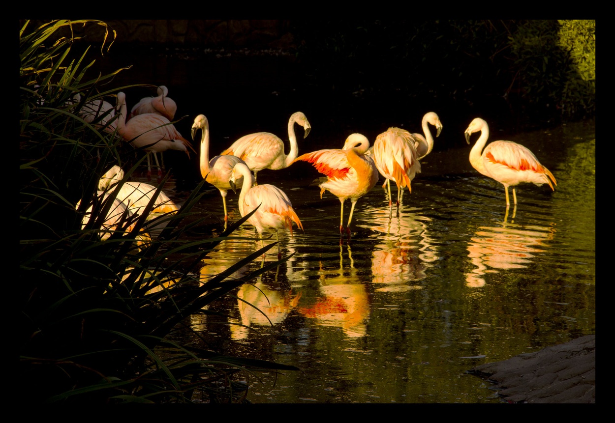 "REFLEJOSSSSS Y COLORESSSS!!!" de Maria Eugenia Cailly (euge)