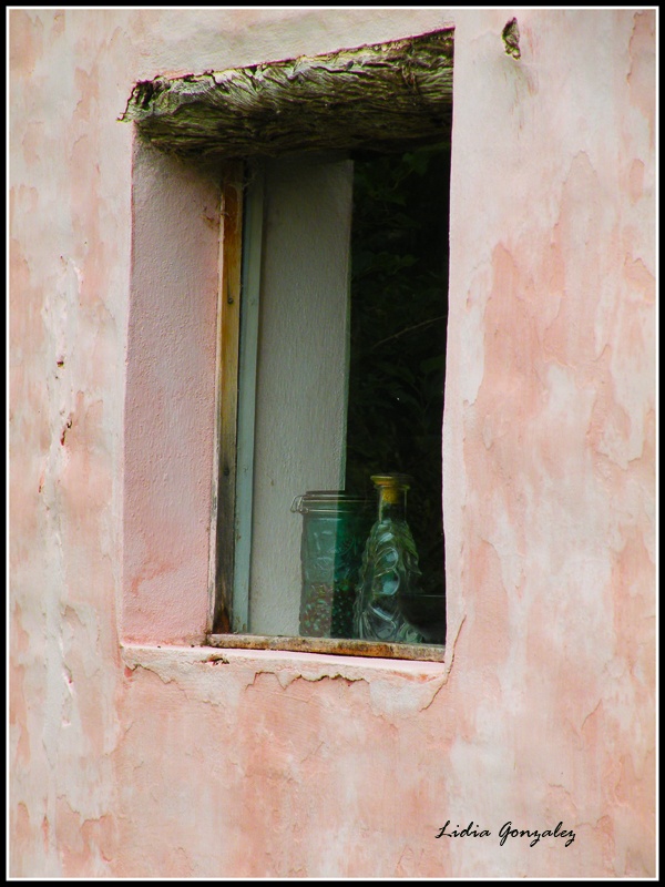 "observando" de Lidia Gonzalez