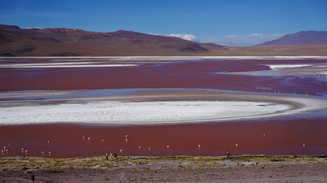 "laguna colorada" de Ruben Alex Villarroel