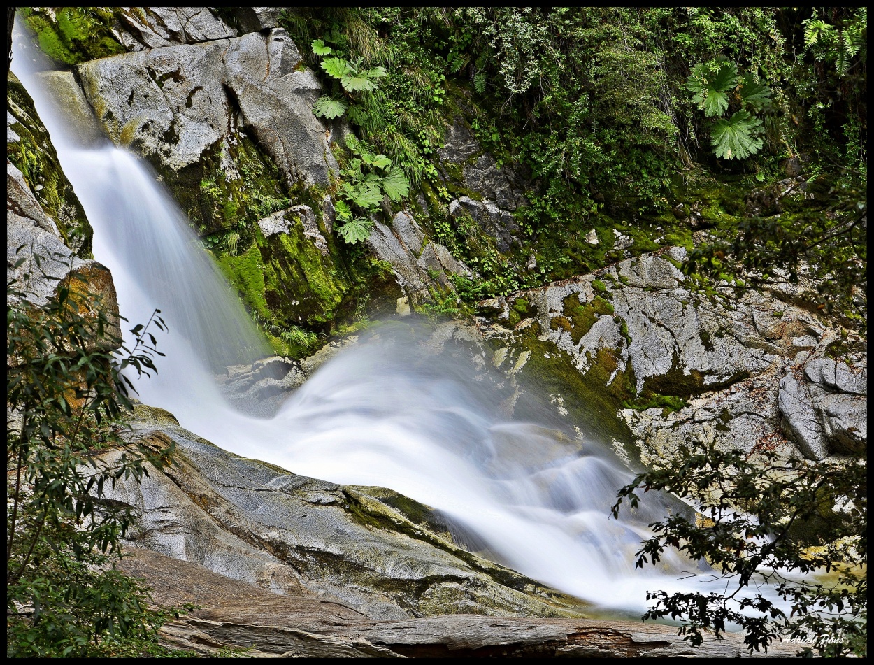 "Salto" de Adrian Pons