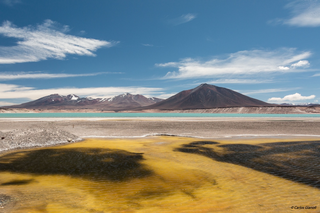 "Laguna Verde" de Carlos Gianoli