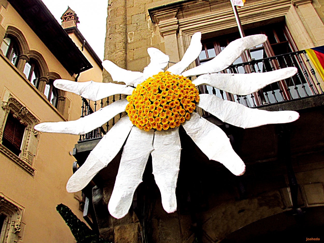 "BeNVinGuDa PRiMaVeRa" de Joana Sansalvador Roca