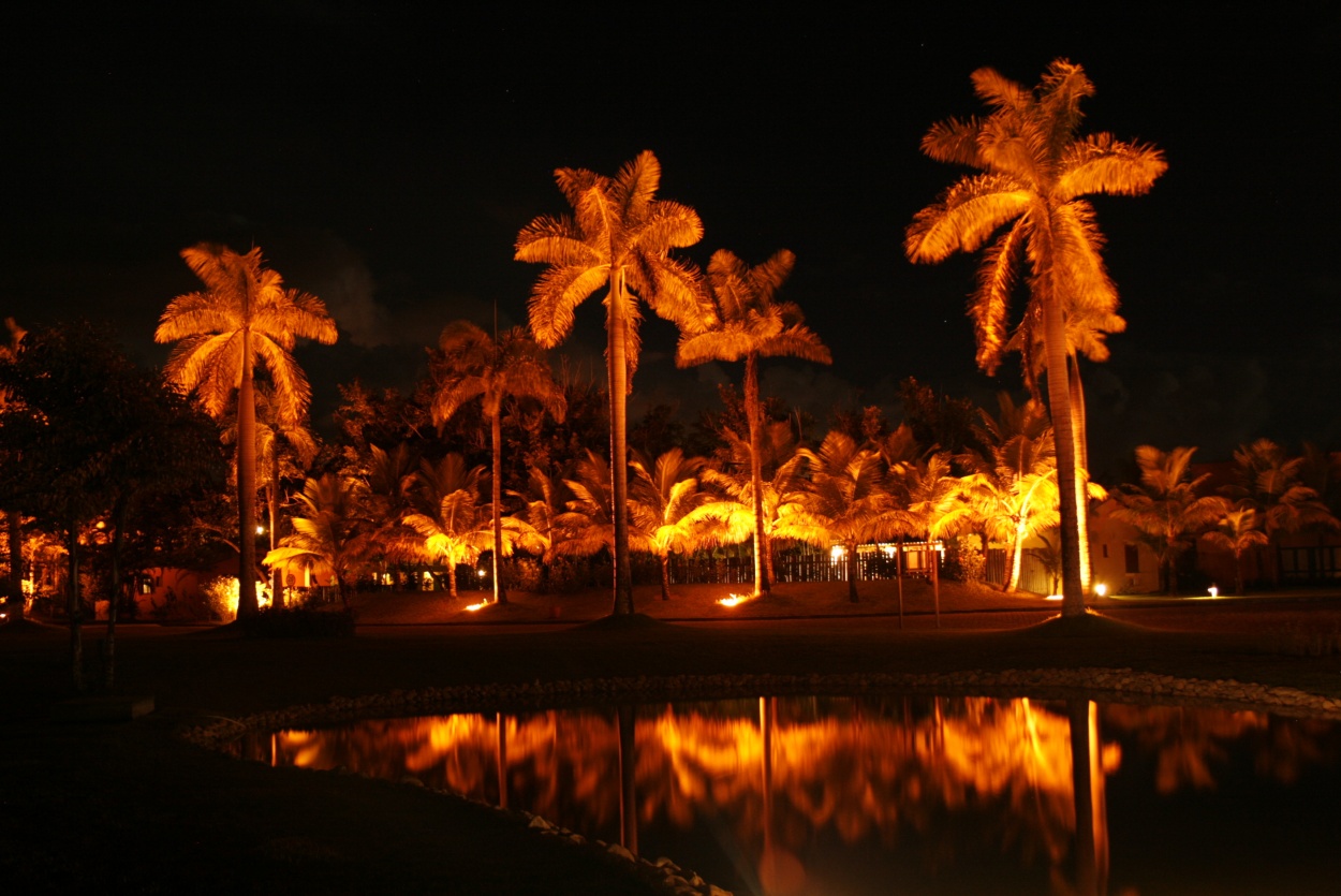 "Noche de palmeras" de Fernan Godoy