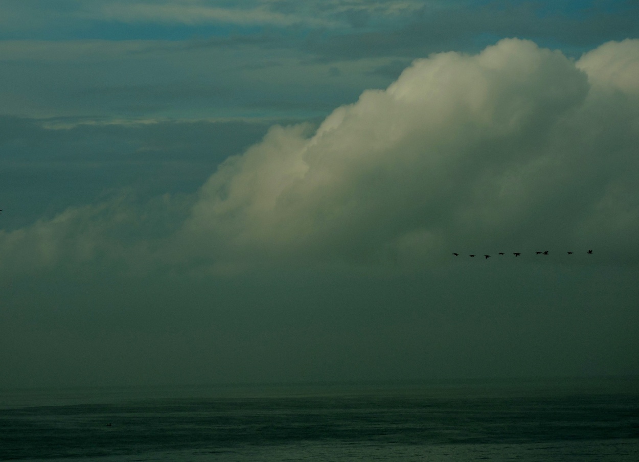 "Nubes" de Silvia Olliari