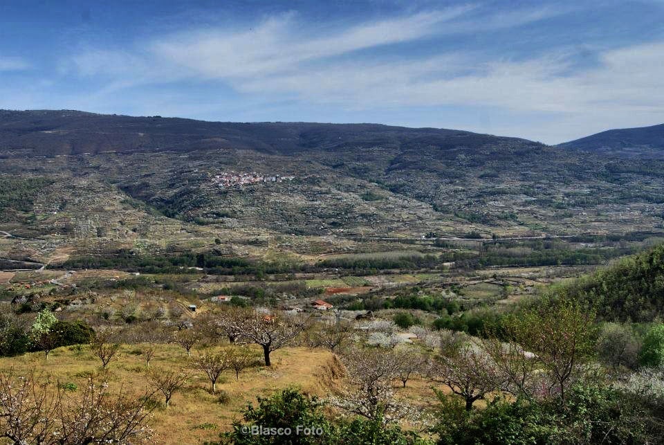 "Valle del Jerte" de Luis Blasco Martin