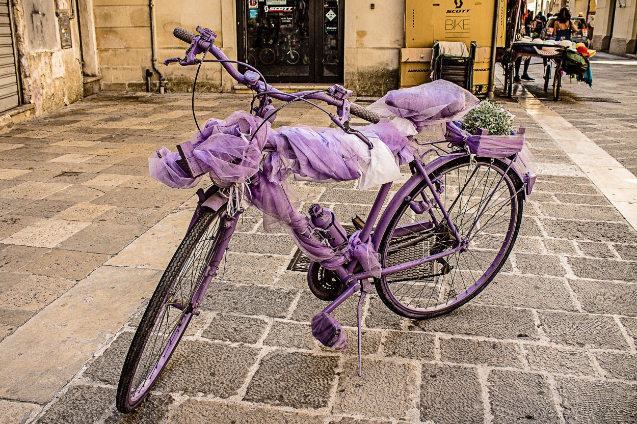 "Violeta" de Angel De Pascalis