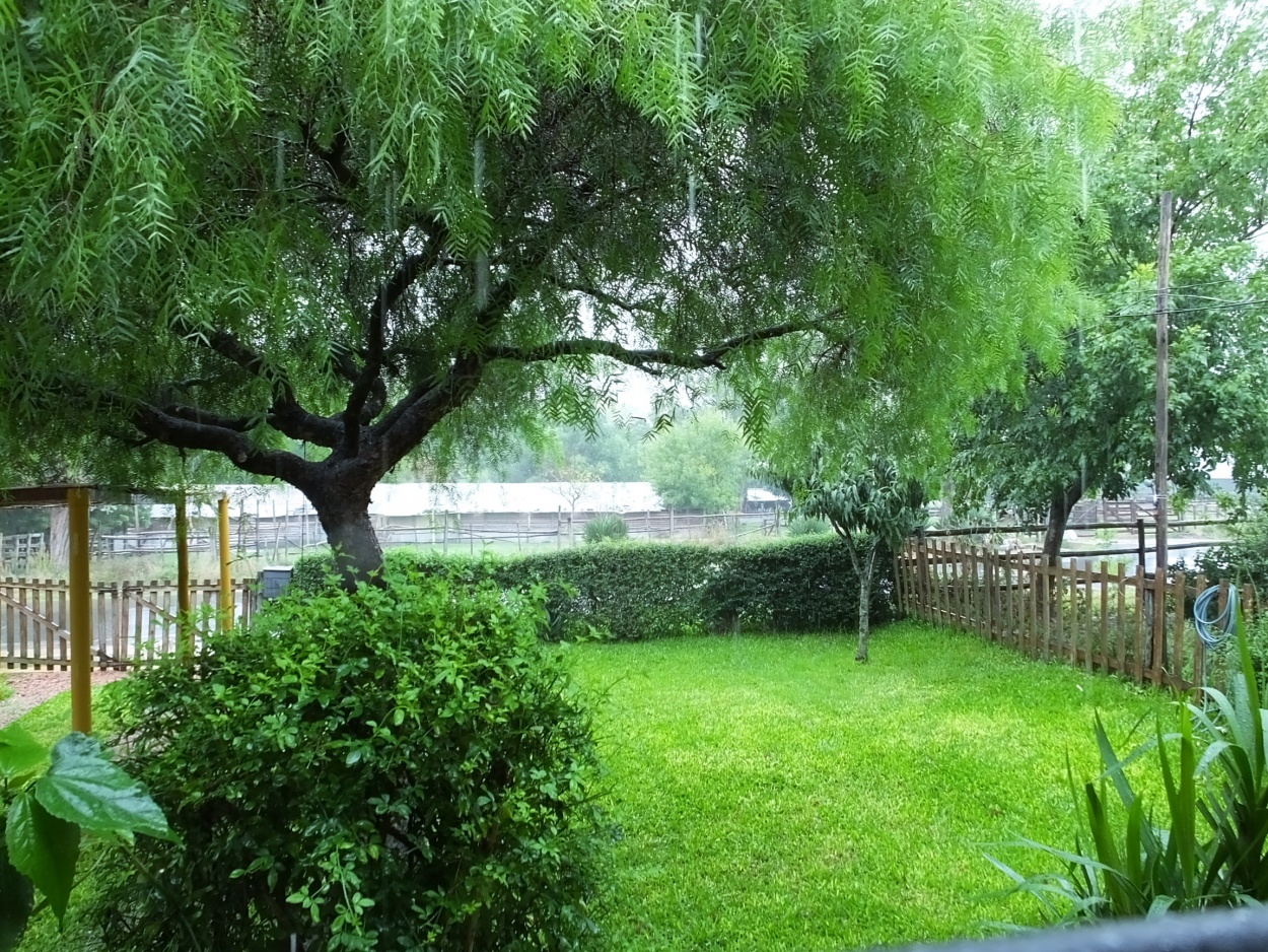 "Lluvia otoal" de Juan Fco. Fernndez