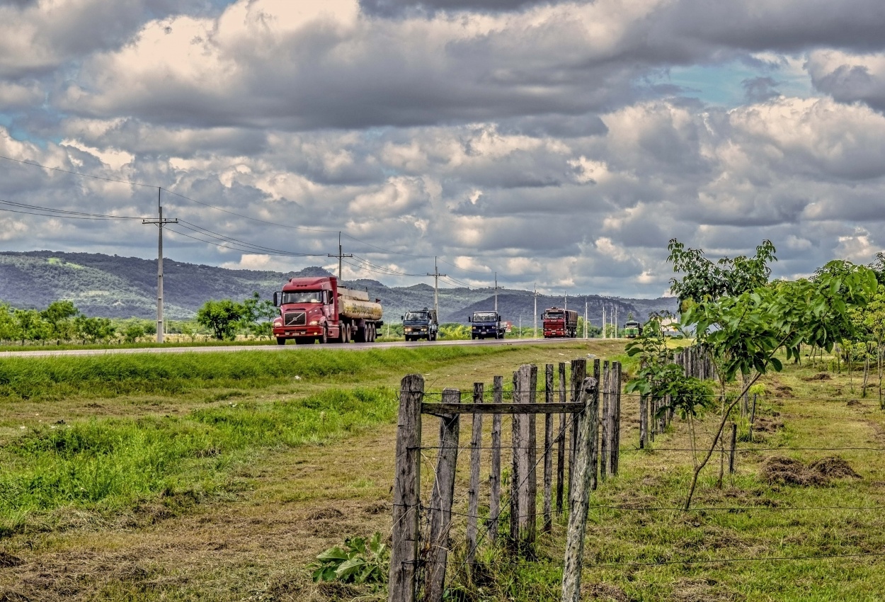 "Haciendo caminos" de Adriana Claudia Gallardo