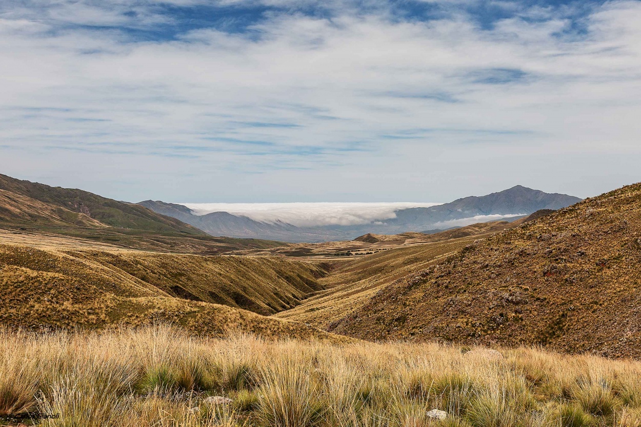 "Tucumn: A lo lejos, entre las nubes, el valle." de Carlos Gianoli