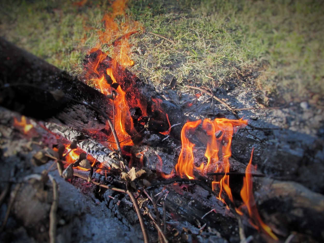 "Fuego" de Victor Osmar Quiones