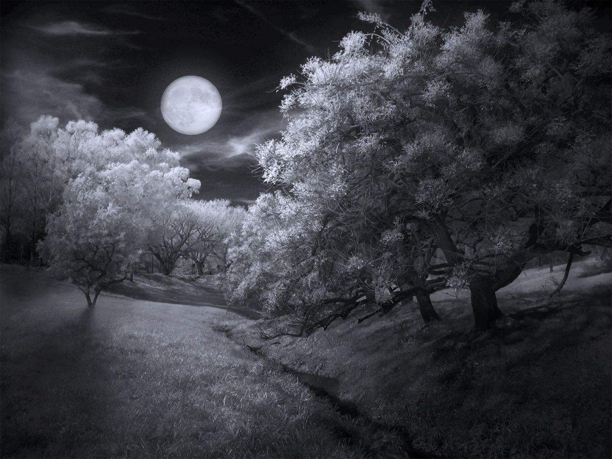 "Luna de septiembre" de Gerardo Antonel