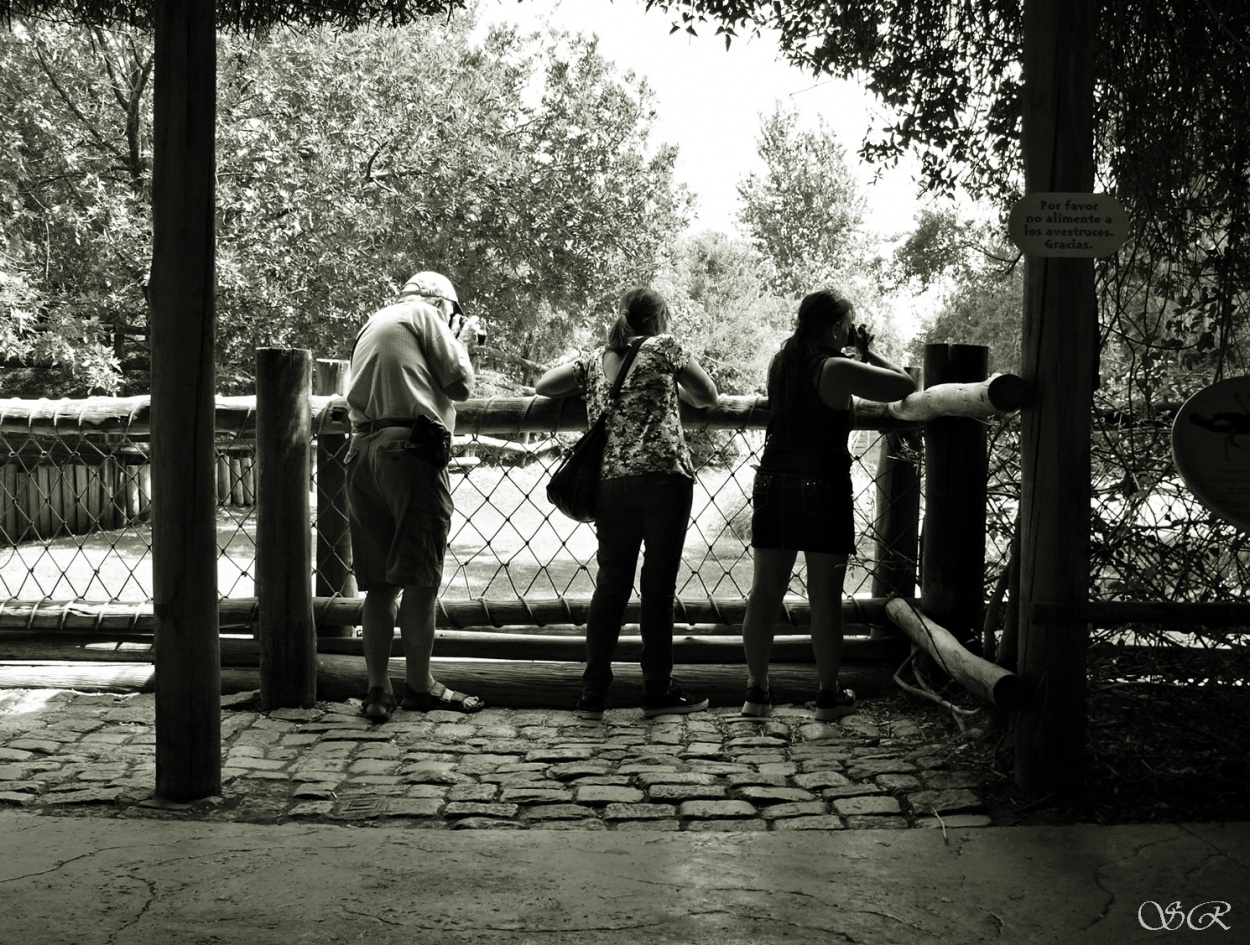 "Fotografiando fotgrafos" de Silvia Rodrigo