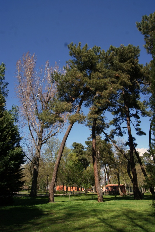 "Parque de la Isla (Plasencia)" de Luis Blasco Martin