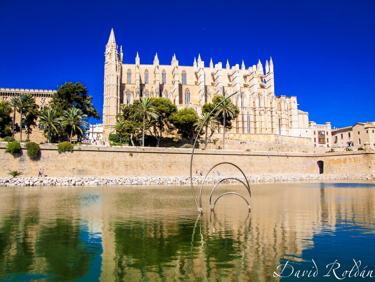 "Catedral de Mallorca" de David Roldn