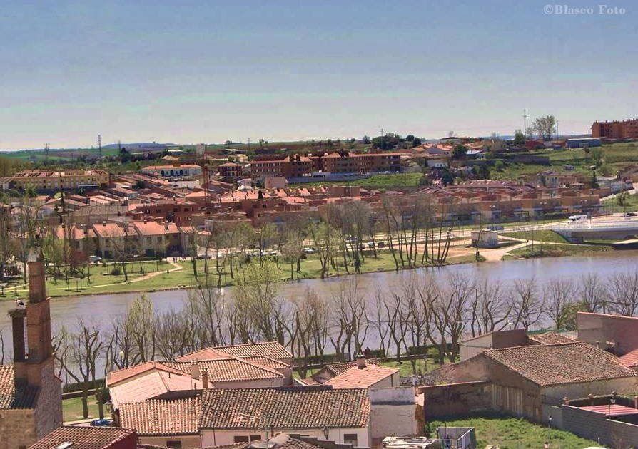 "Zamora vista desde su castillo" de Luis Blasco Martin