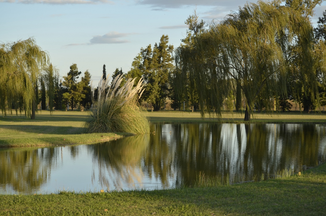 "Laguna" de Ismael Minoves