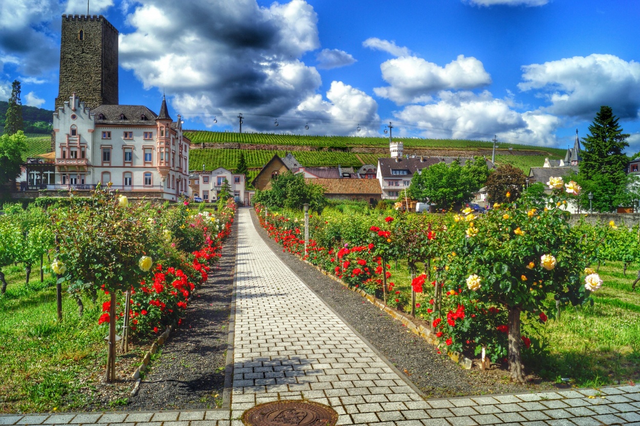 "Rudesheim am Rhein, Hesse, Alemania." de Sergio Valdez