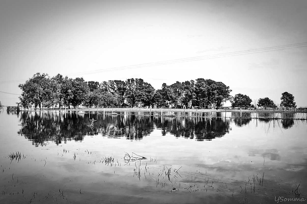 "Inundacin" de Luis Fernando Somma (fernando)