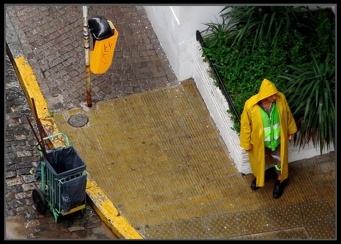 "Lluvia amarilla" de Jorge Vicente Molinari