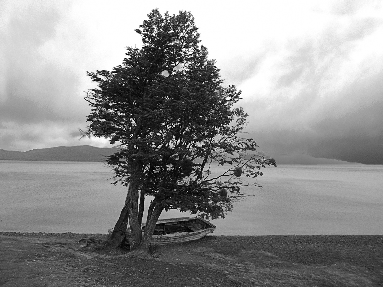 "Paisaje fueguino con rbol y bote" de Ricardo S. Spinetto