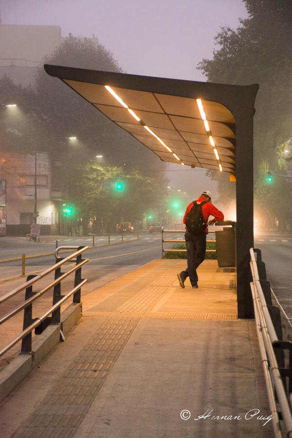 "Niebla" de Hernan Puig