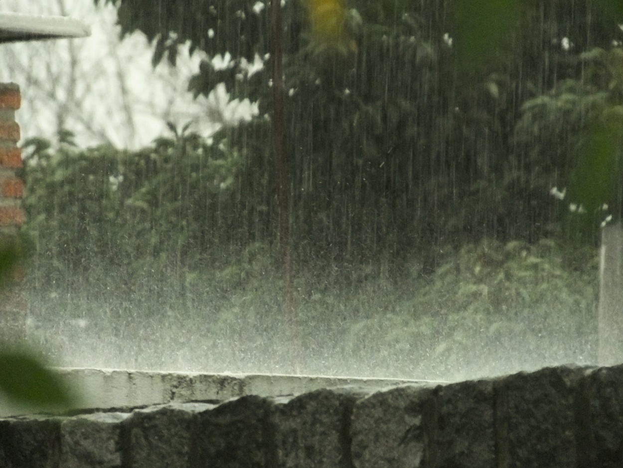 "Lluvia de hoy" de Juan Fco. Fernndez