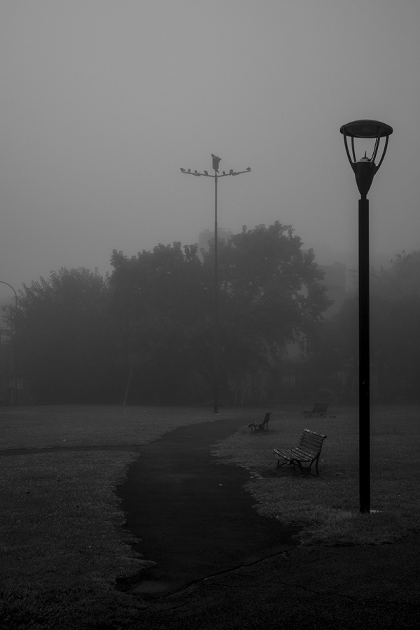 "Buenos Aires, 14 de abril, 7.58 AM" de Ricardo Palmadessa