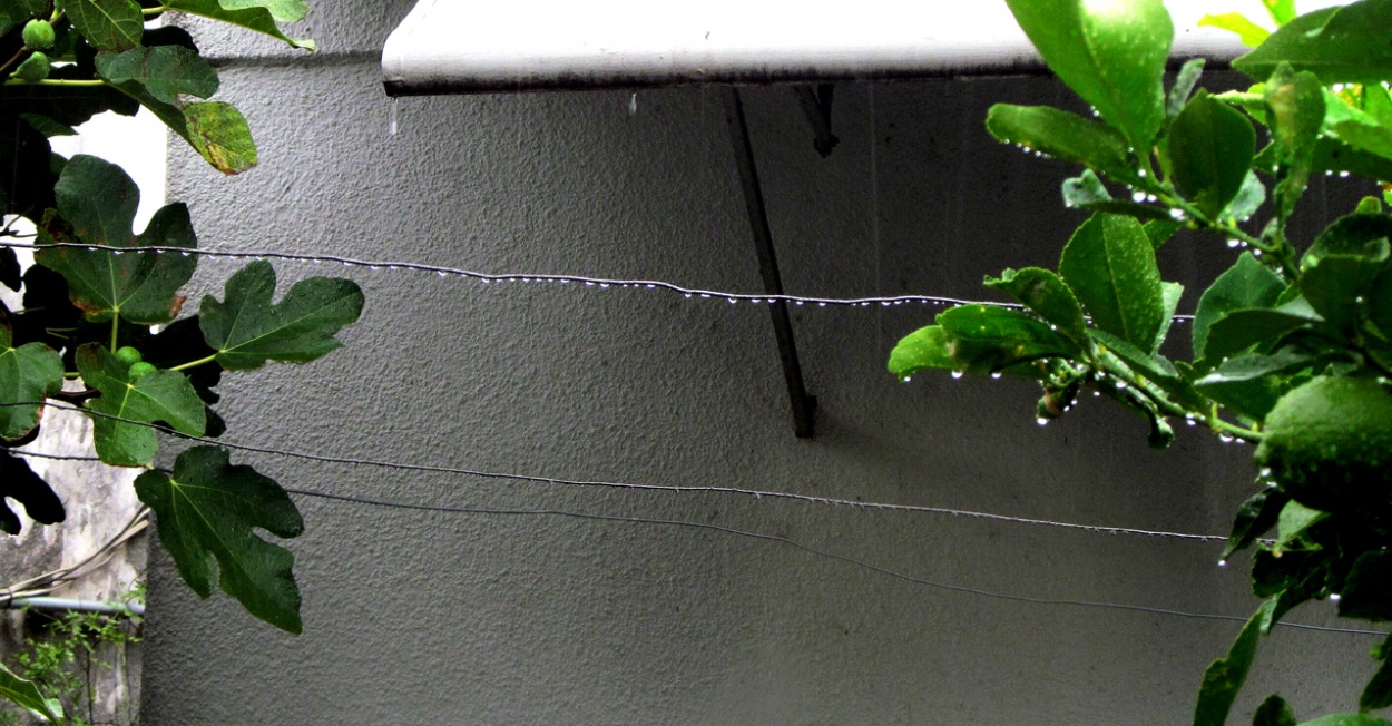 "Caminito de lluvia" de Ana Tessler