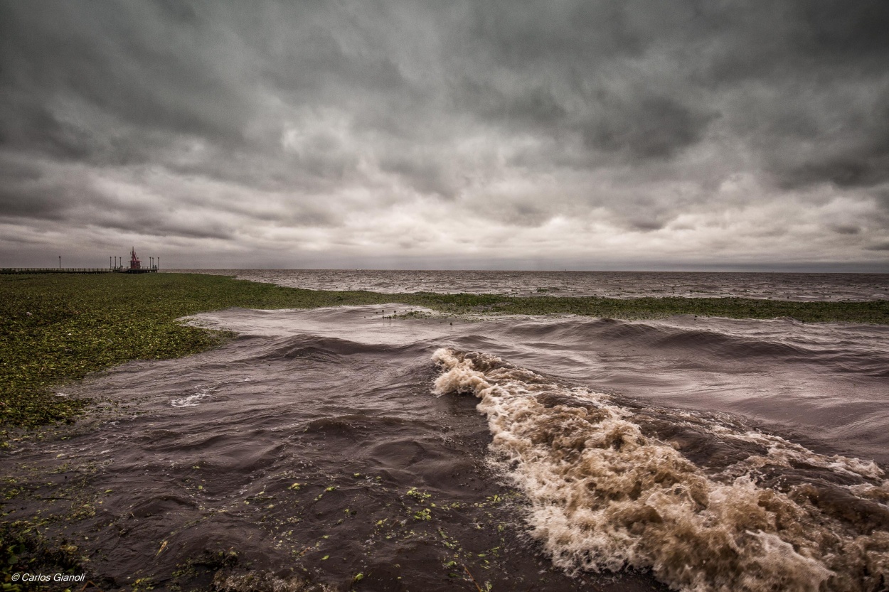 "La tormenta, el ro, los camalotes y el muelle." de Carlos Gianoli