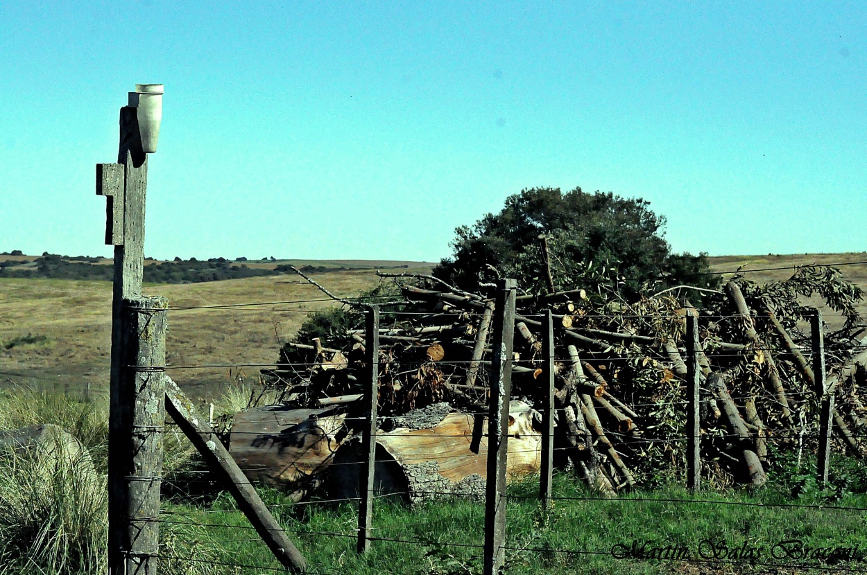 "Campo" de Martin Salas Braconi