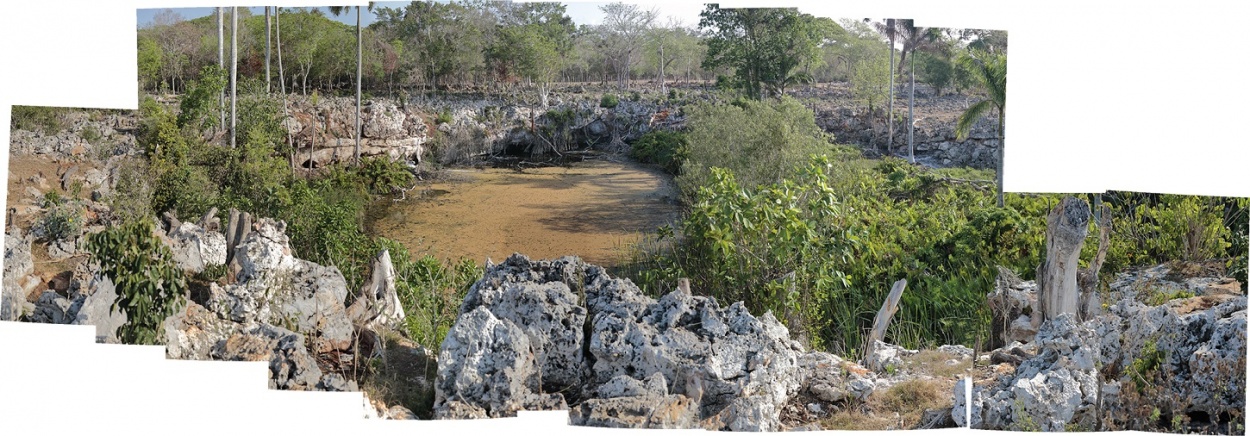 "Cenote" de Juan Carlos Sepulveda