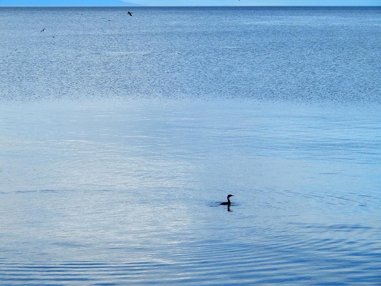 "Horizonte alto" de Jos Luis Mansur